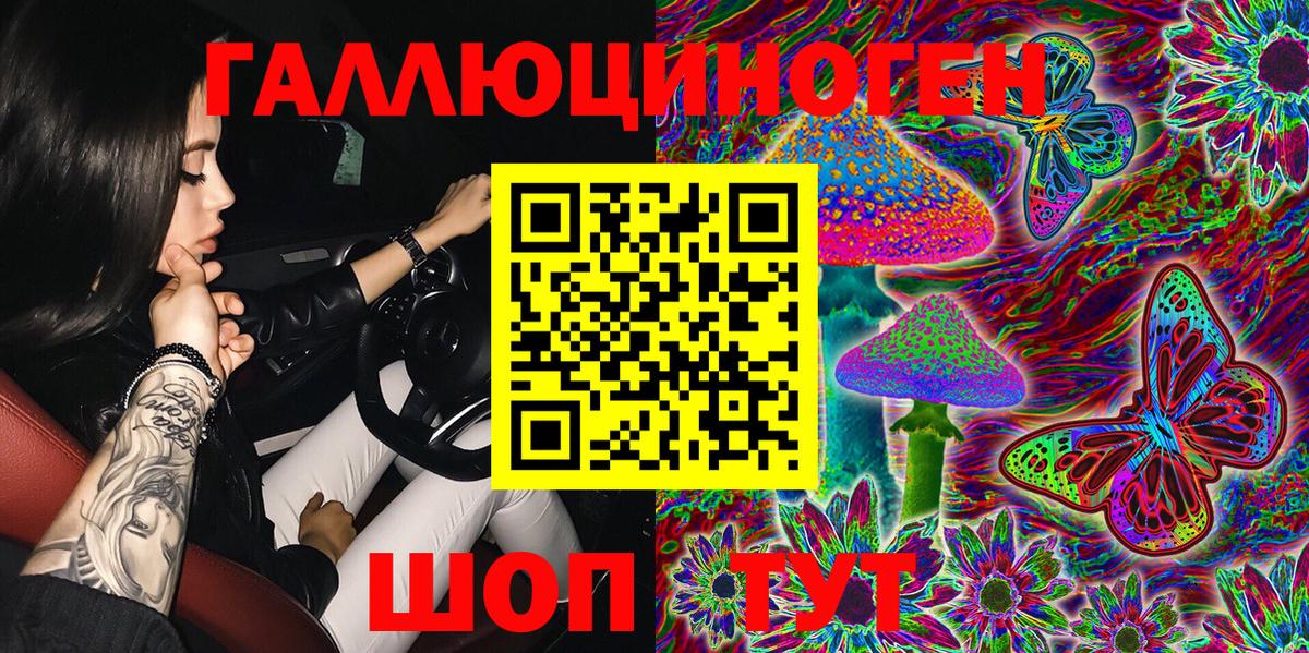 Галлюциногенные грибы Psilocybine cubensis Нижний Новгород