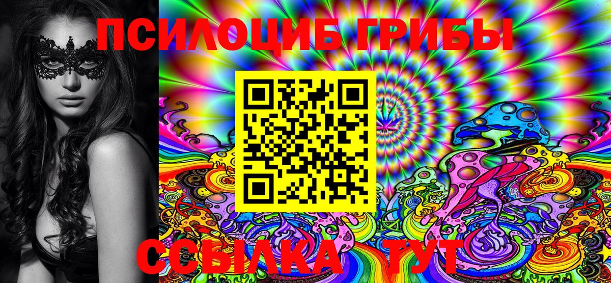 Нижний Новгород  Галлюциногенные грибы Cubensis  Галлюциногенные грибы ЛСД  Вход с VPN 